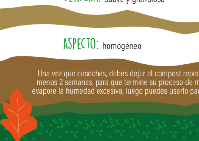 Campaña «Compóstate Pucón»